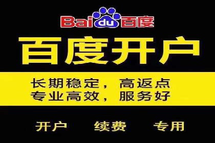 百度竞价推广托管：成功案例背后的故事